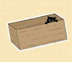 黑色的猫窥视内部盒子