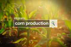 玉米生产互联网浏览器搜索盒子