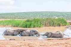 大象玩水潭