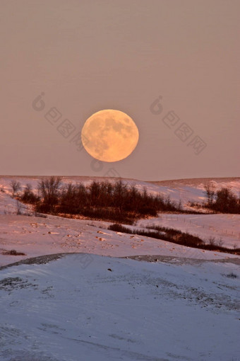 完整的月亮不断上升的萨斯喀彻温省脊