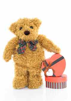 泰迪熊红色的心形状的礼物盒子