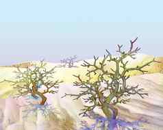 沙漠植物灌木萨克斯奥尔蓝色的天空