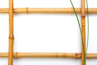 框架图片竹子