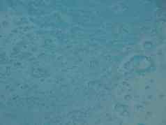 的角度来看蓝色的游泳池水泡沫表面