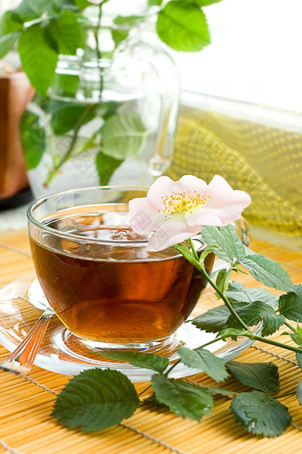 茶犬蔷薇开花