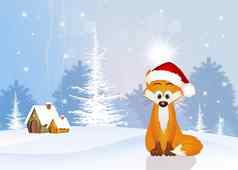 红色的狐狸圣诞节