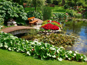 美丽的经典设计花园<strong>鱼池</strong>塘水莉莉