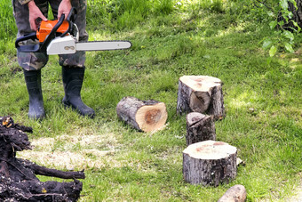 人工作男人。锯树