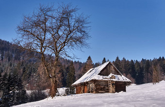 田园小屋雪清算冬天