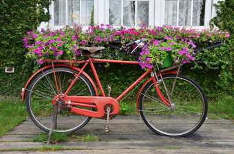 自行车红色的小篮子