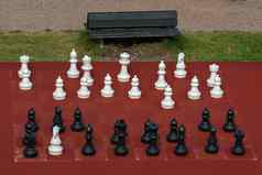 大户外国际象棋