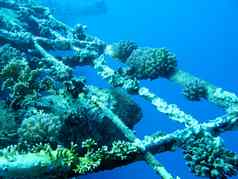 片段海难礁珊瑚底水下