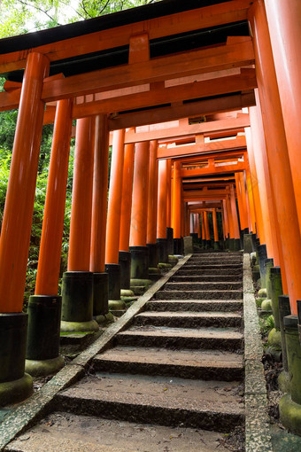 <strong>伏</strong>见inari大社神社《京都议定书》