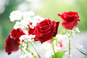红色的玫瑰花束