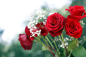 红色的玫瑰花束