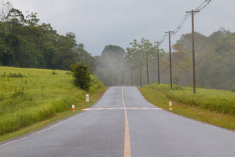 湿路雨