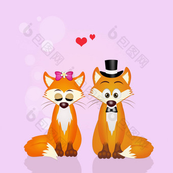 婚姻狐狸
