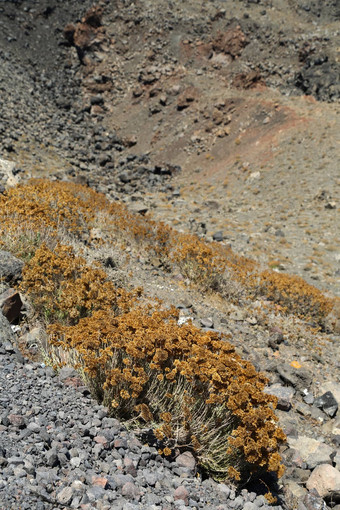 圣托里尼岛火山