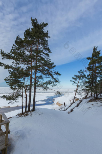 冬天雪海海岸波罗的海海拉脱维亚索尔克拉斯蒂