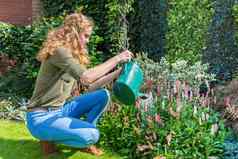 年轻的荷兰女人浇水花