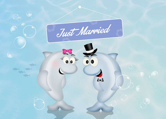 婚礼海豚