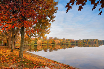 秋天10月色彩斑斓的公园树叶树小巷