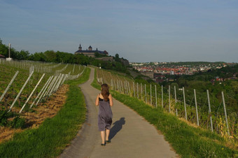 <strong>女人</strong>走路葡萄园景观视图城堡马林贝格维尔茨堡巴伐利亚德国