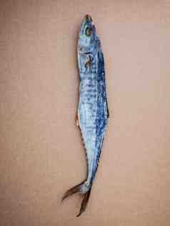 鱼保存传统的泰国食物干卫矛scombero