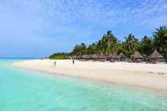 太阳岛马尔代夫二月白色海滩椰子手掌平房马尔代夫