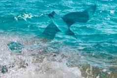 照片美丽的清晰的绿松石海海洋水表面涟漪低波海景背景海鸥水平图片