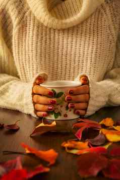 女人手持有茶杯秋天的树叶