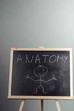 解剖学词写黑板