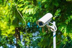 中央电视台安全相机监测绿色公园
