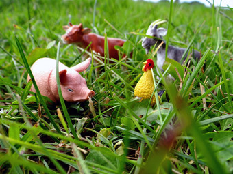 微型玩具农场动物草