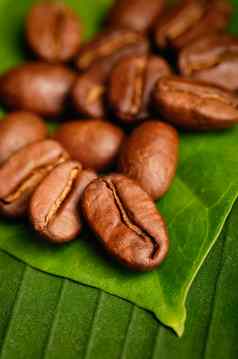 公平贸易有机咖啡豆子