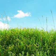 五彩缤纷的草草地蓝色的天空
