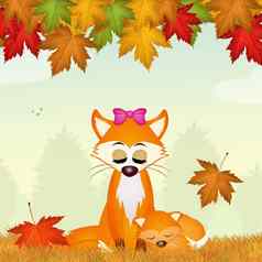 红色的狐狸秋天