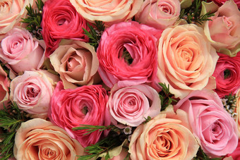 粉红色的玫瑰新娘花束