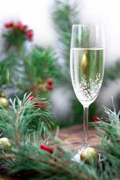 圣诞节史蒂寿命香槟松分支机构红色的罗文金