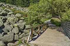独特的石头河大花岗岩石头岩石河木桥