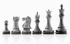 国际象棋概念保存王保存策略