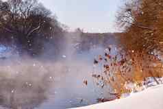 太阳雪花阳光明媚的冬天早....河