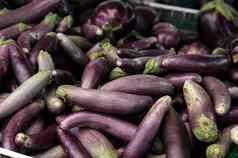 紫色的茄子蔬菜