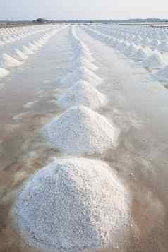 垂直形式堆海盐原始盐生产农场