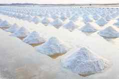 堆海盐原始盐生产农场使自然