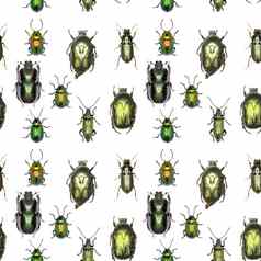 绿色黄金模式集绿色甲虫