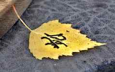 亲笔签名秋天黄色的叶