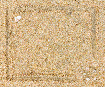 桑迪海滩海贝壳框架背景