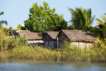 马达加斯加传统的农村景观小屋