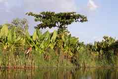马达加斯加传统的河景观